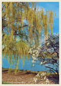 Botanical — Botanical Garden in Bloom