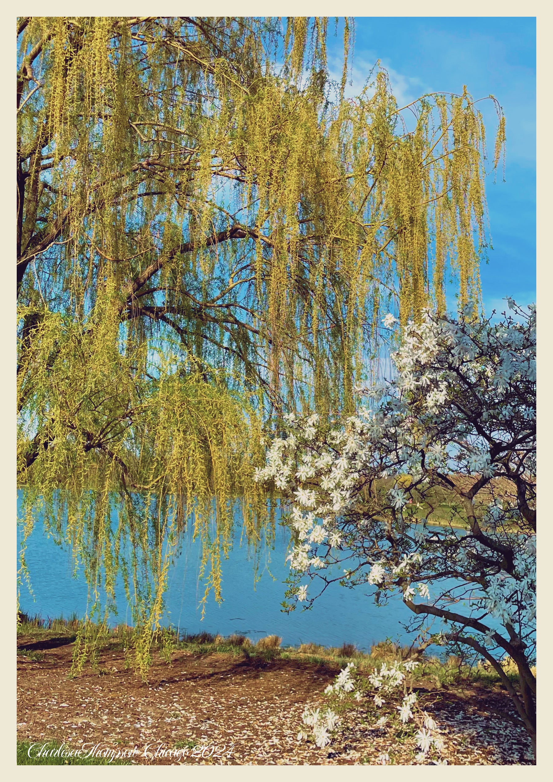 Botanical — Botanical Garden in Bloom